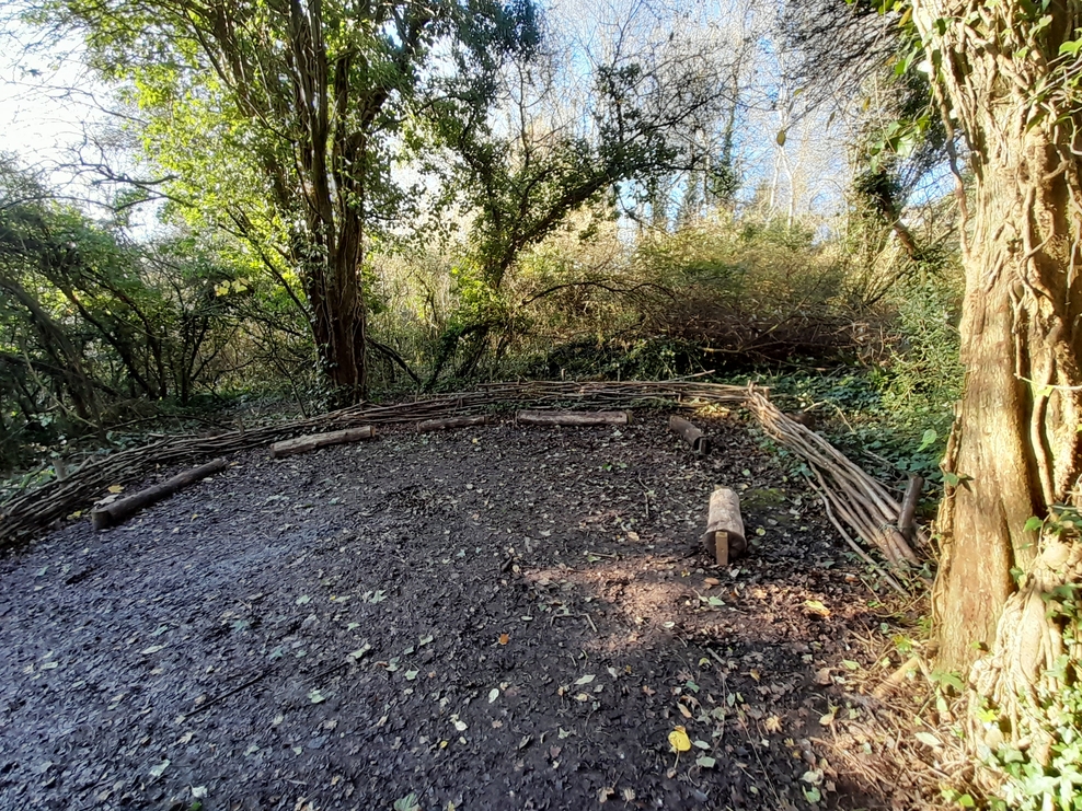 Team Wilder Story Manor Woods Valley Park Avon Wildlife Trust